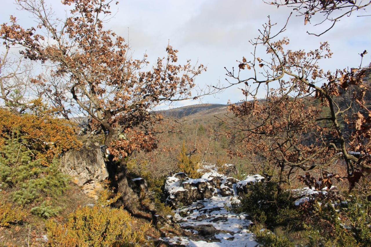 Les Chambres De La Dourbie Nant Kültér fotó